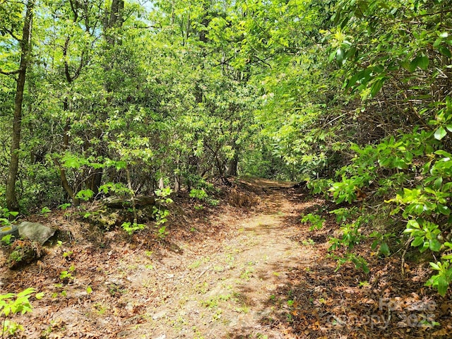 449 Boone Top, Zirconia, NC 28790 - photo 12