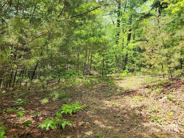 449 Boone Top, Zirconia, NC 28790 - photo 11