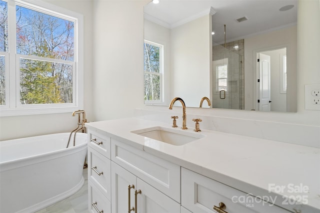 722 Clegg Farm Dr, York, SC 29745 - bathroom with a stall shower, ornamental molding, vanity, healthy amount of natural light, and a soaking tub