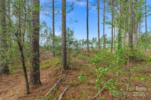 0 Lynn Rd Unit 3, Fort Lawn, SC 29714