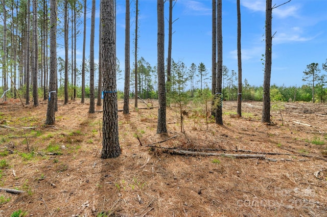0 Lynn Rd Unit 3, Fort Lawn, SC 29714
