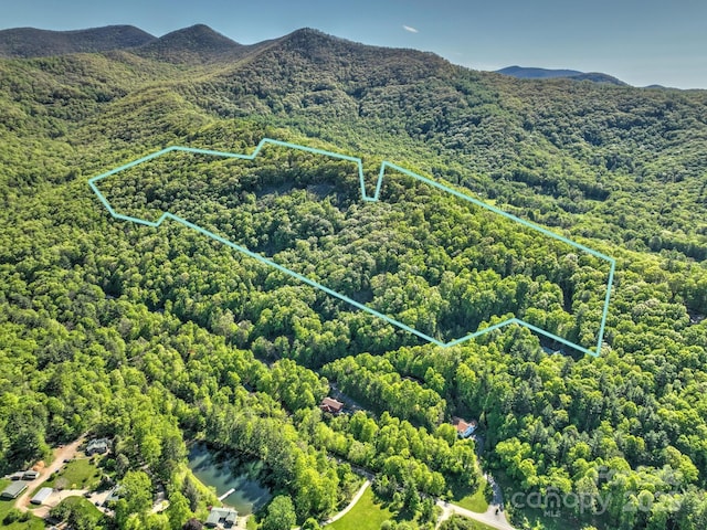99999 Bull Creek Rd, Asheville, NC 28805 - photo 1