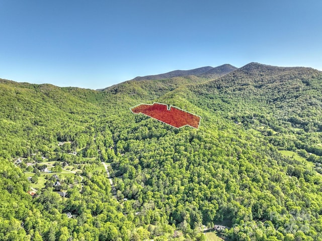 99999 Bull Creek Rd, Asheville, NC 28805 - photo 2