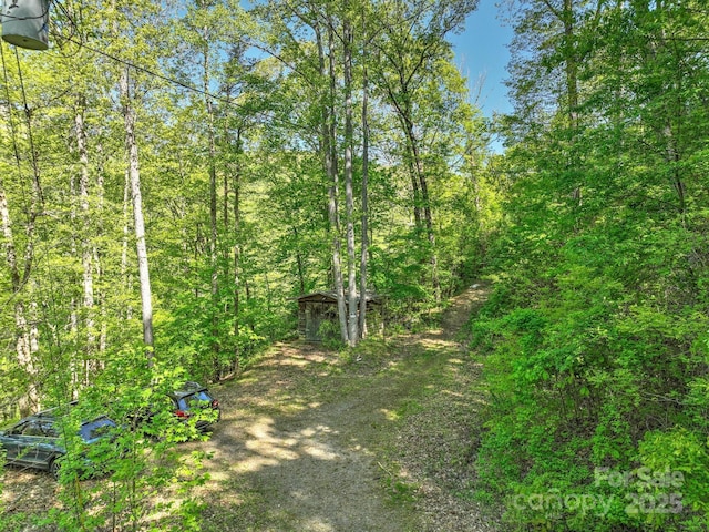 99999 Bull Creek Rd, Asheville, NC 28805 - photo 3