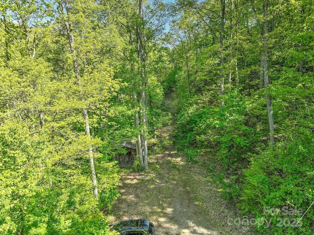 99999 Bull Creek Rd, Asheville, NC 28805 - photo 4