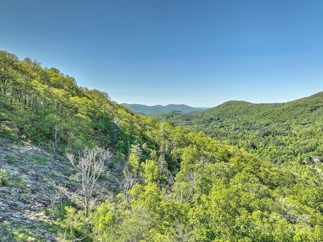 99999 Bull Creek Rd, Asheville, NC 28805 - photo 5