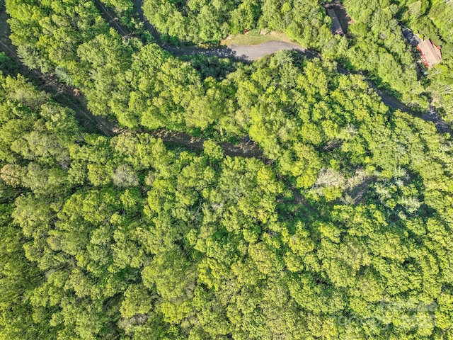 99999 Bull Creek Rd, Asheville, NC 28805 - photo 6