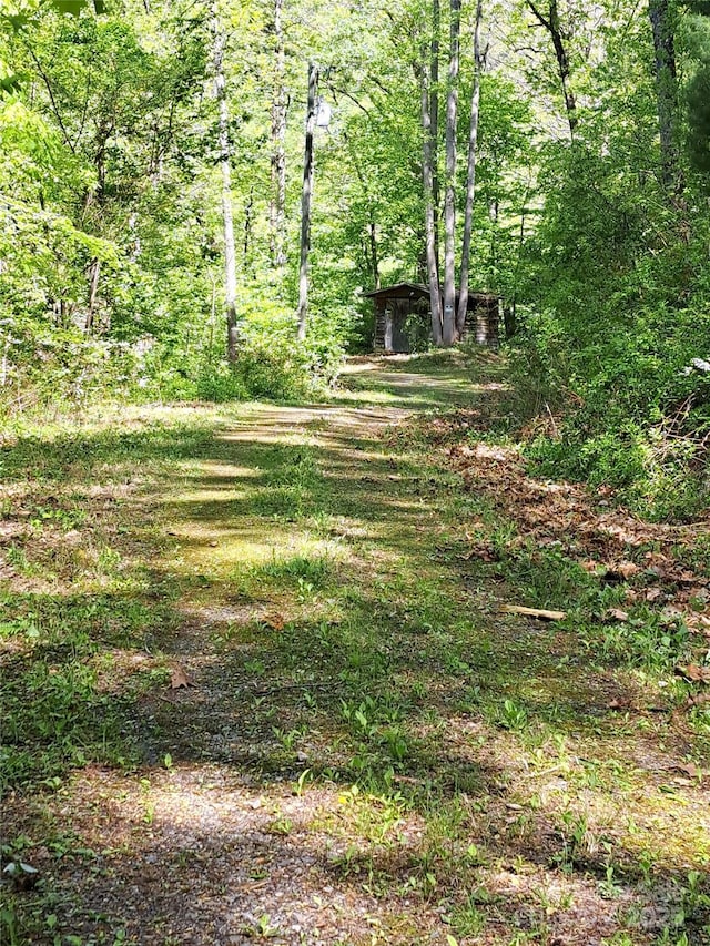 99999 Bull Creek Rd, Asheville, NC 28805 - photo 7