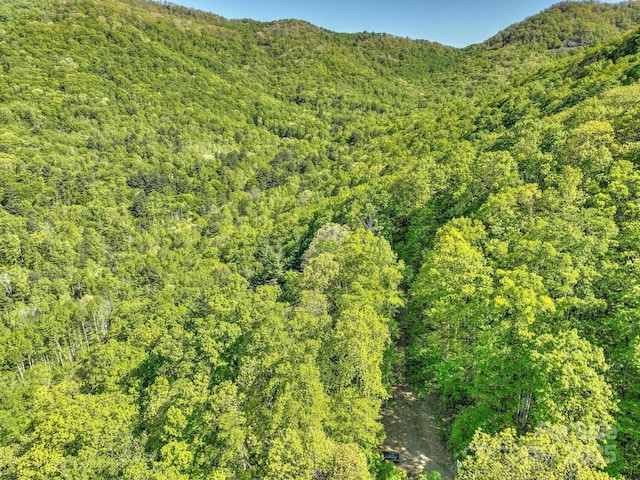 99999 Bull Creek Rd, Asheville, NC 28805 - photo 8