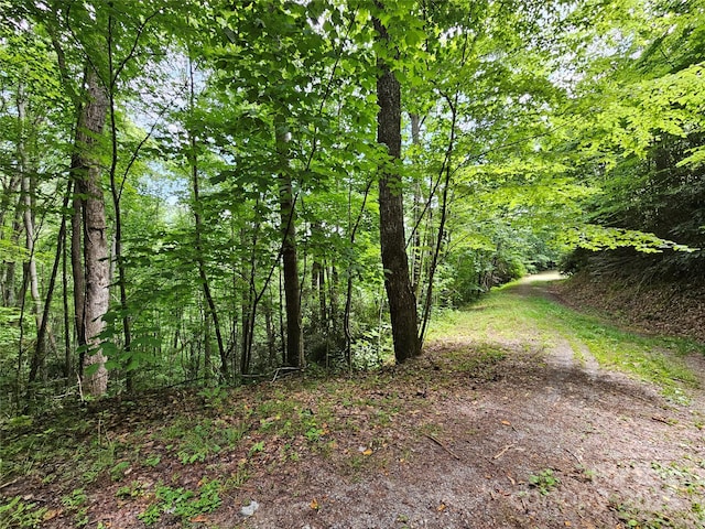 00 Autumn Dr Unit 2, Waynesville, NC 28785