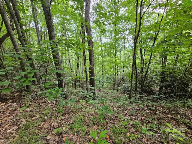 00 Autumn Dr Unit 2, Waynesville, NC 28785