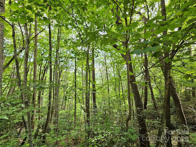 00 Autumn Dr Unit 2, Waynesville, NC 28785