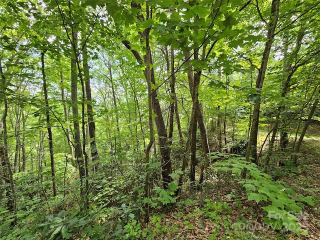 00 Autumn Dr Unit 2, Waynesville, NC 28785