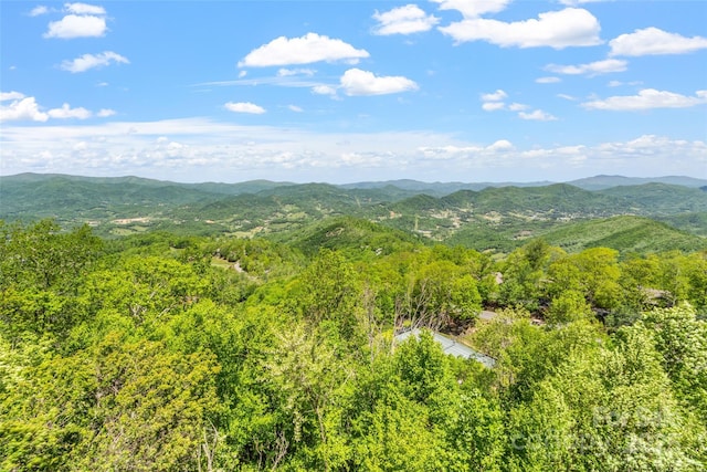 80 Slickrock Rd Unit A2, Burnsville, NC 28714 - photo 24