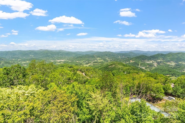 80 Slickrock Rd Unit A2, Burnsville, NC 28714 - photo 33