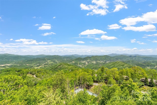 80 Slickrock Rd Unit A2, Burnsville, NC 28714 - photo 34