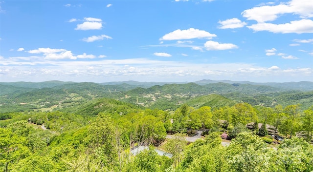 80 Slickrock Rd Unit A2, Burnsville, NC 28714 - photo 45