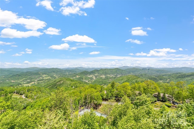 80 Slickrock Rd Unit A2, Burnsville, NC 28714 - photo 46