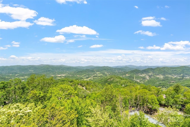 80 Slickrock Rd Unit A2, Burnsville, NC 28714 - photo 47