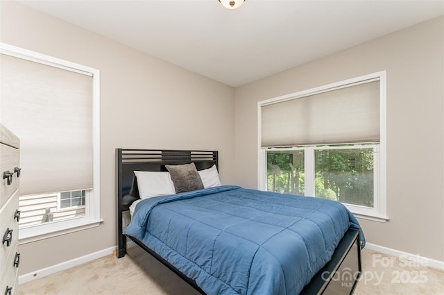 1147 Anduin Falls Dr, Charlotte, NC 28269 - bedroom featuring light carpet, multiple windows, and baseboards