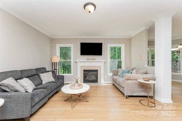 1147 Anduin Falls Dr, Charlotte, NC 28269 - living room featuring wood finished floors, crown molding, a fireplace with flush hearth, and baseboards