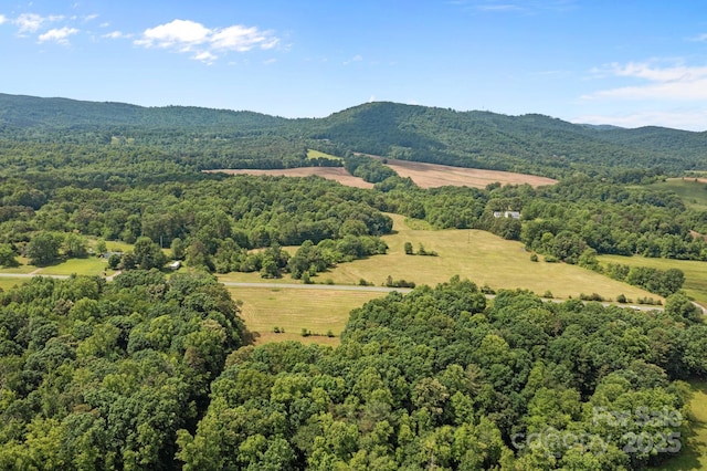 437 Linneys Mill Rd, Union Grove, NC 28689