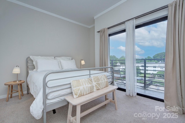 715 N Church St Unit 303, Charlotte, NC 28202 - photo 12