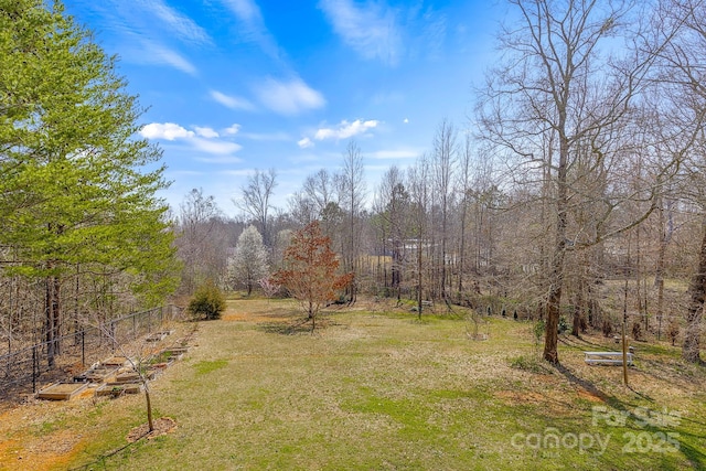 142 Hawk Nest Ln, Campobello, SC 29322 - photo 44