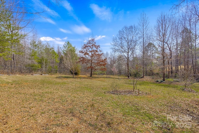 142 Hawk Nest Ln, Campobello, SC 29322 - photo 45