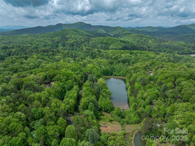 aerial view of a forest and a water and mountain view