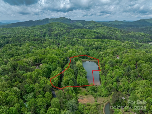 aerial view of property's location with a heavily wooded area, property boundaries highlighted, and a water and mountain view