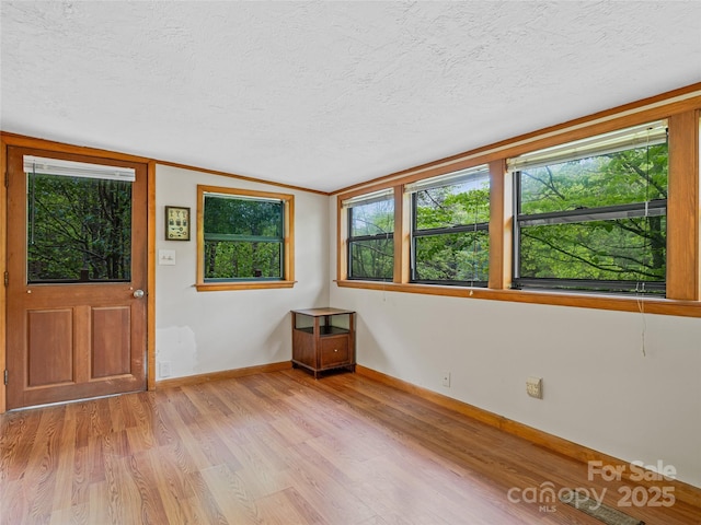 entryway featuring a textured ceiling, light wood-type flooring, baseboards, and healthy amount of natural light