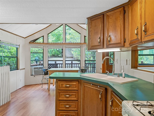 kitchen with a sink, brown cabinetry, light wood finished floors, radiator, and lofted ceiling