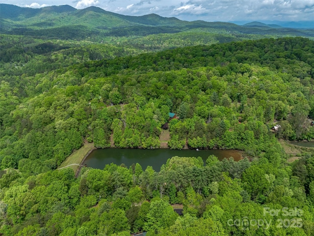 aerial view of property's location featuring a heavily wooded area and a water and mountain view