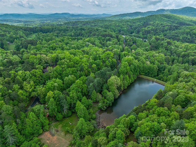 drone / aerial view of a forest and a water and mountain view