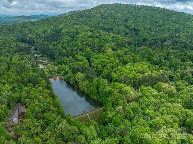 aerial view of a water and mountain view and a forest