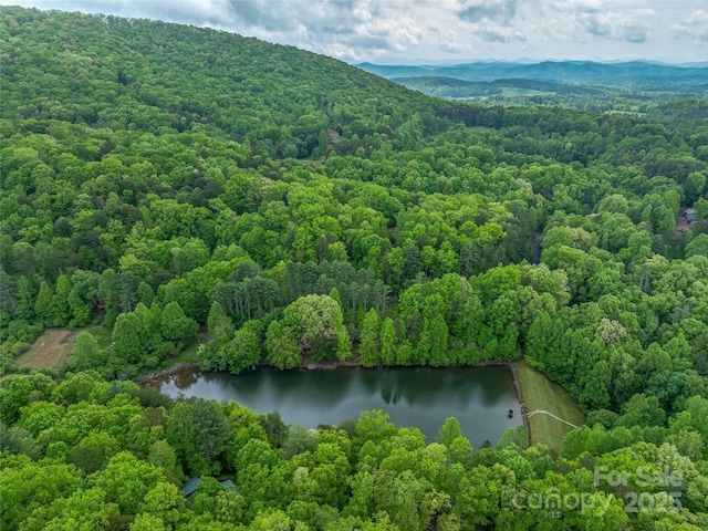 drone / aerial view of a heavily wooded area and a nearby body of water
