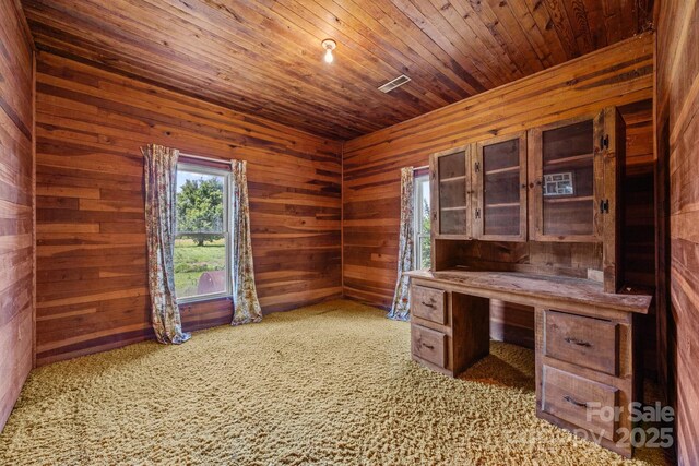 18070 Old Beatty Ford Rd, Gold Hill, NC 28071 - unfurnished office featuring wood walls, carpet, and wood ceiling