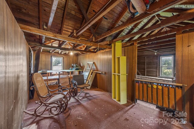 18070 Old Beatty Ford Rd, Gold Hill, NC 28071 - miscellaneous room with lofted ceiling, healthy amount of natural light, and wooden walls