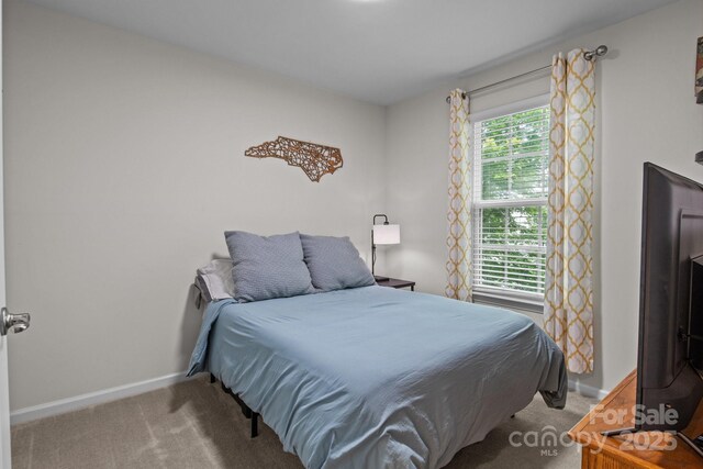 2444 Mariners Cove Ln, Denver, NC 28037 - photo 23