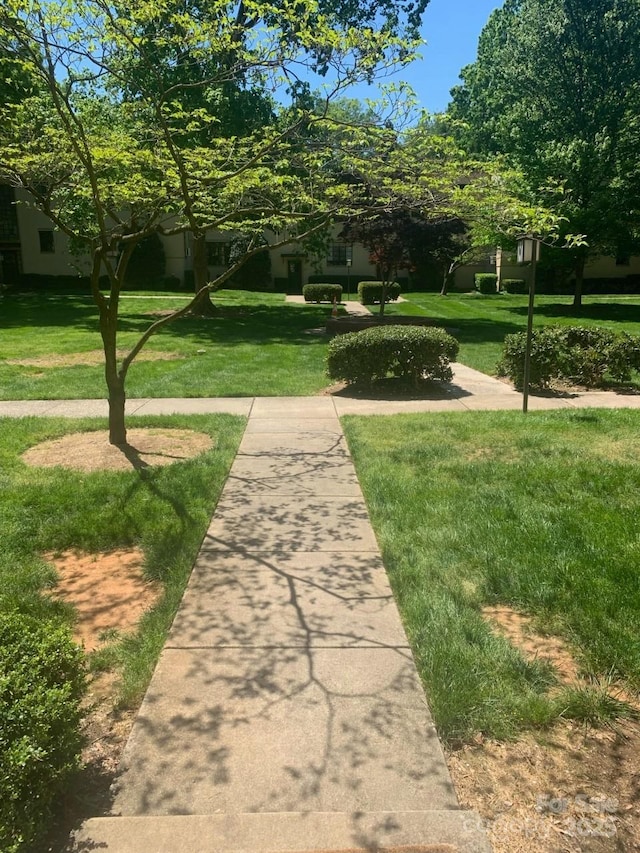 view of home's community featuring a yard