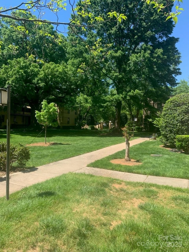 view of green lawn