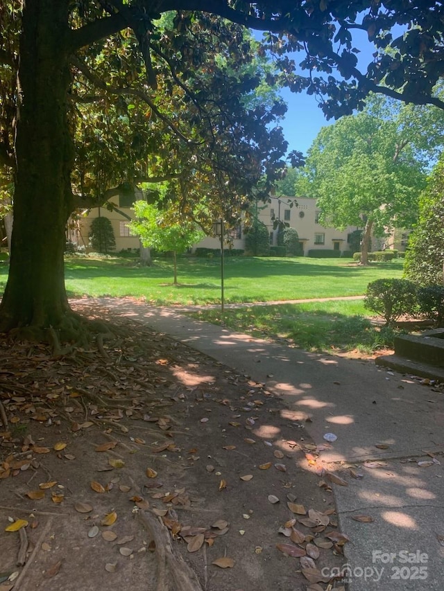view of green lawn