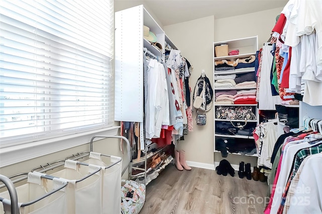 1618 Bay Meadows Ave NW, Concord, NC 28027 - walk in closet with wood finished floors