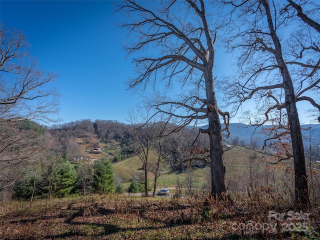 00 Aster Ridge Dr Unit 10, Waynesville, NC 28786
