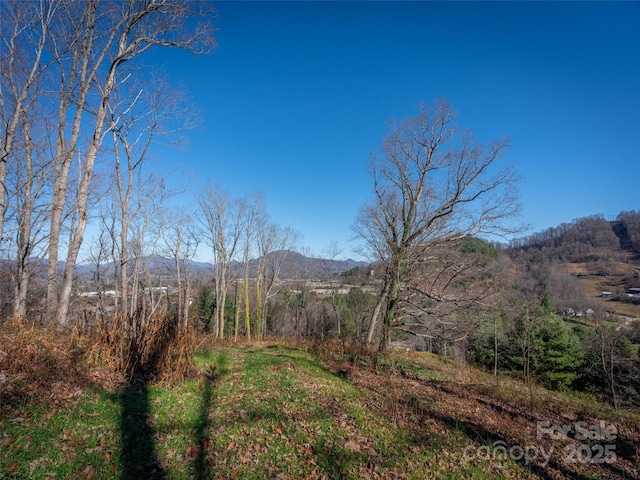 00 Aster Ridge Dr Unit 10, Waynesville, NC 28786