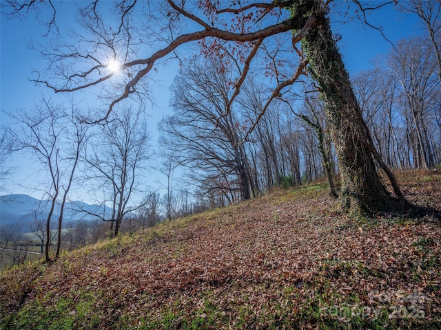 00 Aster Ridge Dr Unit 10, Waynesville, NC 28786