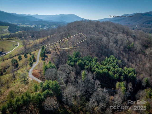 00 Aster Ridge Dr Unit 10, Waynesville, NC 28786