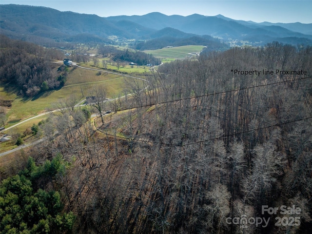 00 Aster Ridge Dr Unit 10, Waynesville, NC 28786