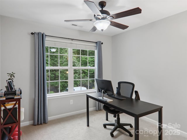 198 Alpine Ridge Dr, Asheville, NC 28806 - photo 24